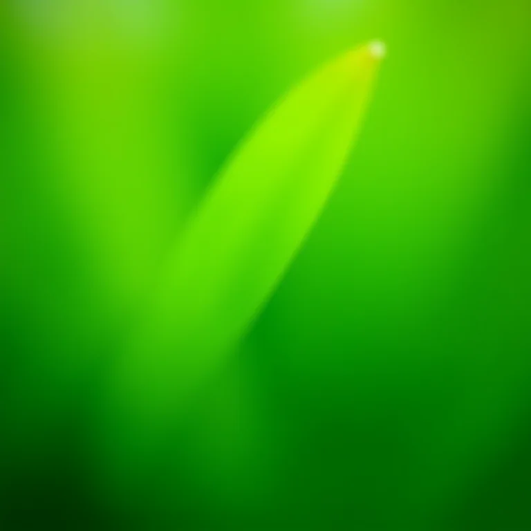 Plantas exuberantes com adubo de cinzas