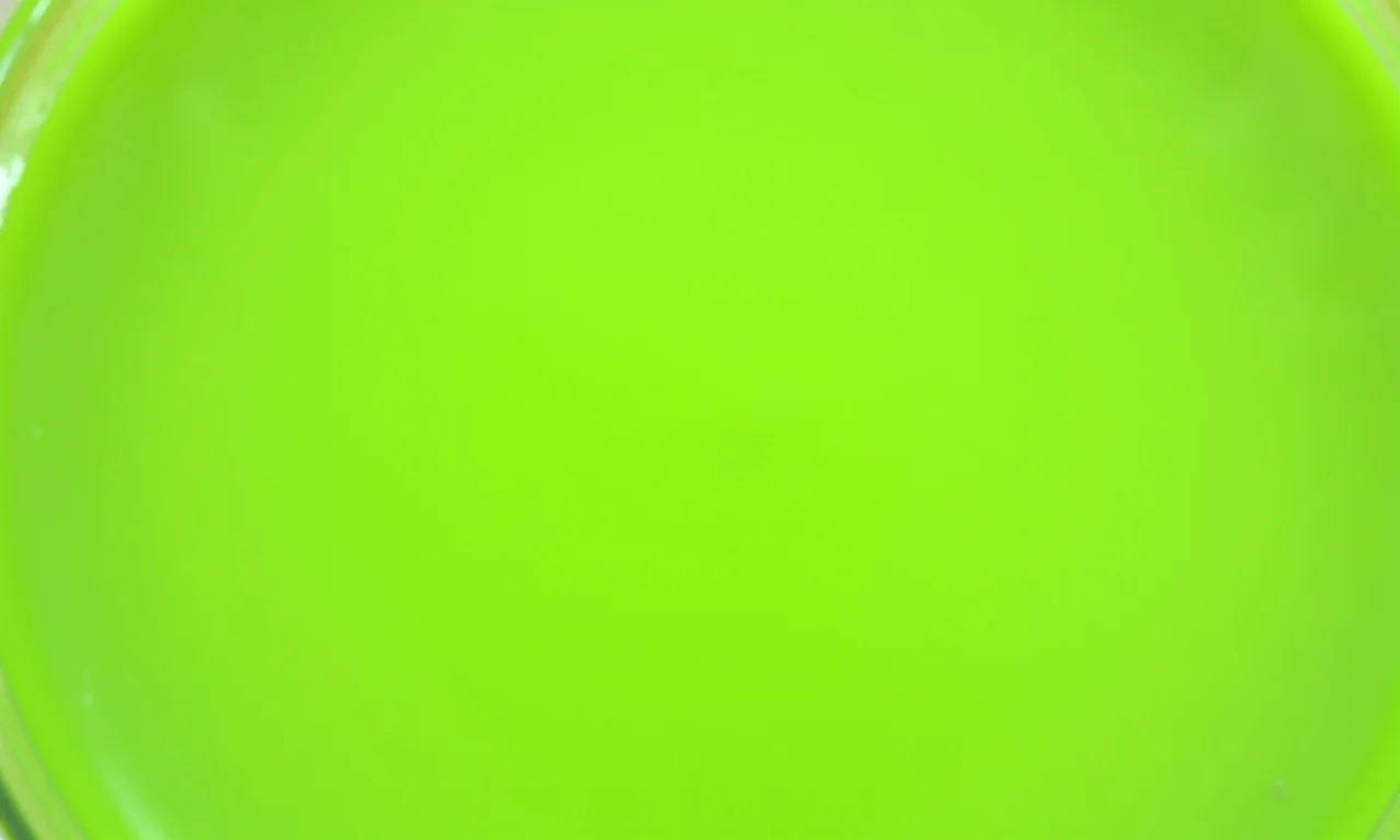 Suco de uva verde com hortelã, refrescante e convidativo.