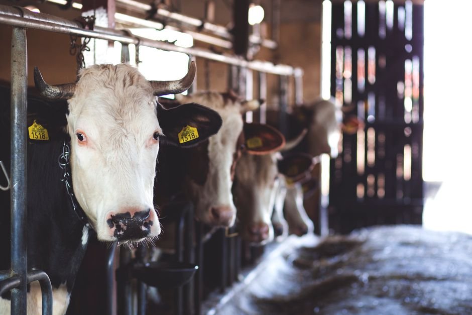 A rotina que mantém tudo em ordem