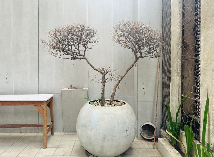Vazios, como objeto de decoração