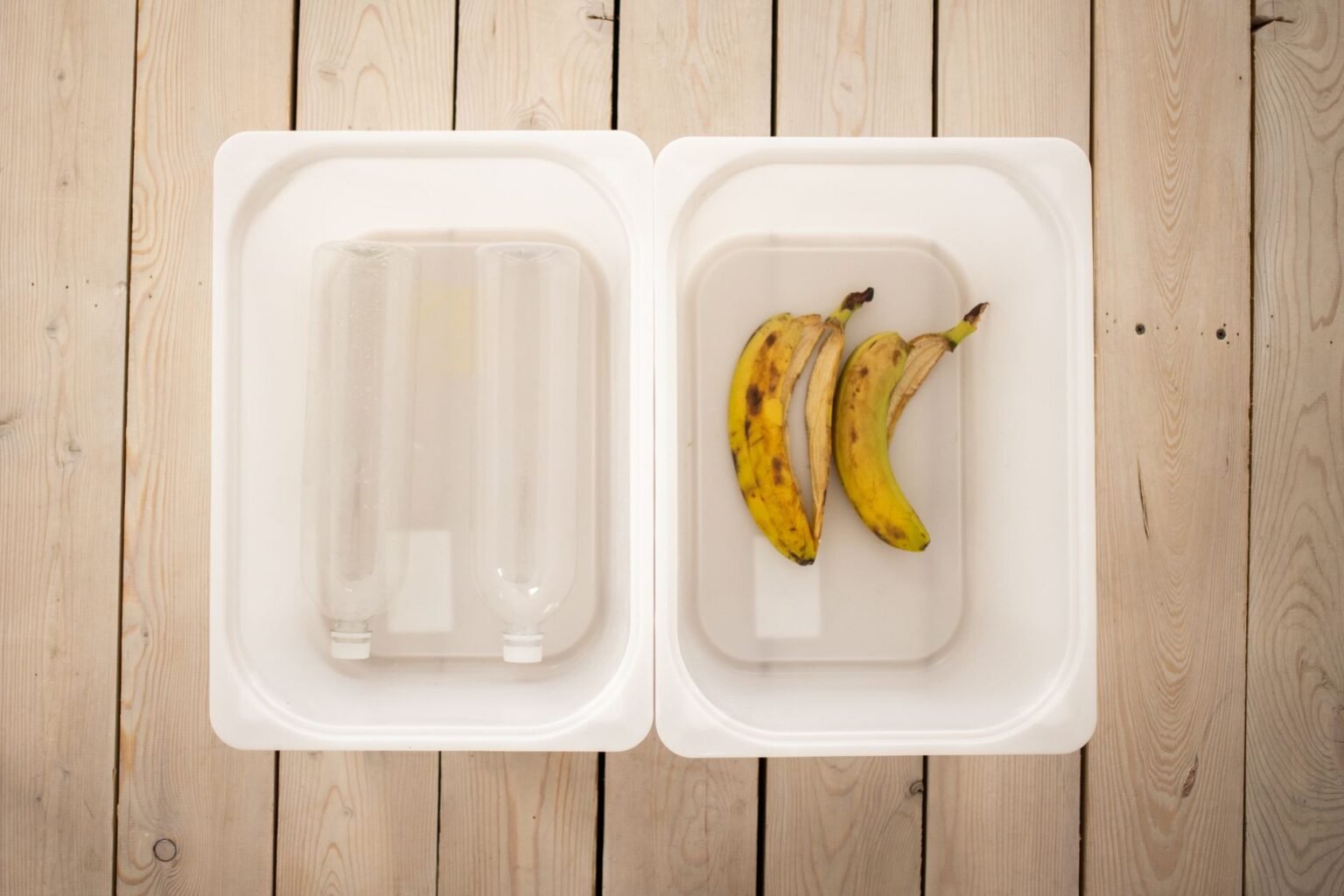 Adubo de Casca de Banana: o truque simples que deixa as plantas mais fortes