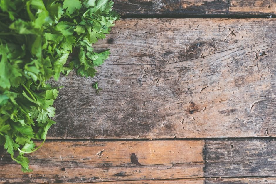 Guia prático: como plantar