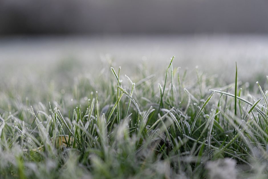 Como preparar e cuidar da horta de inverno