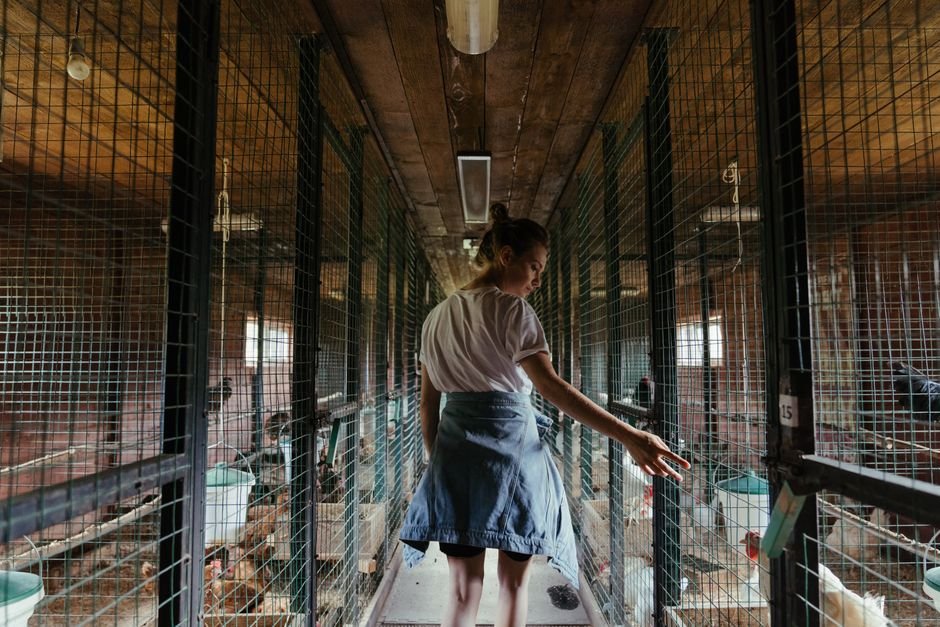 Cuidados e precauções