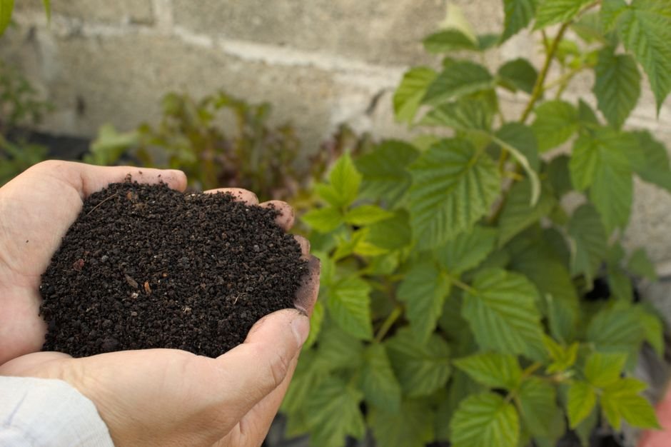 Direto na terra (compostagem simples)