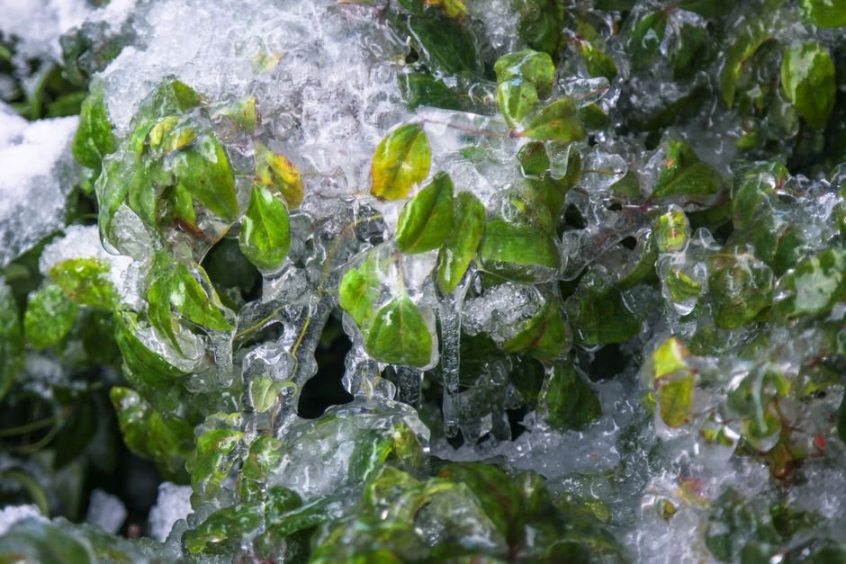 O que é a horta de inverno