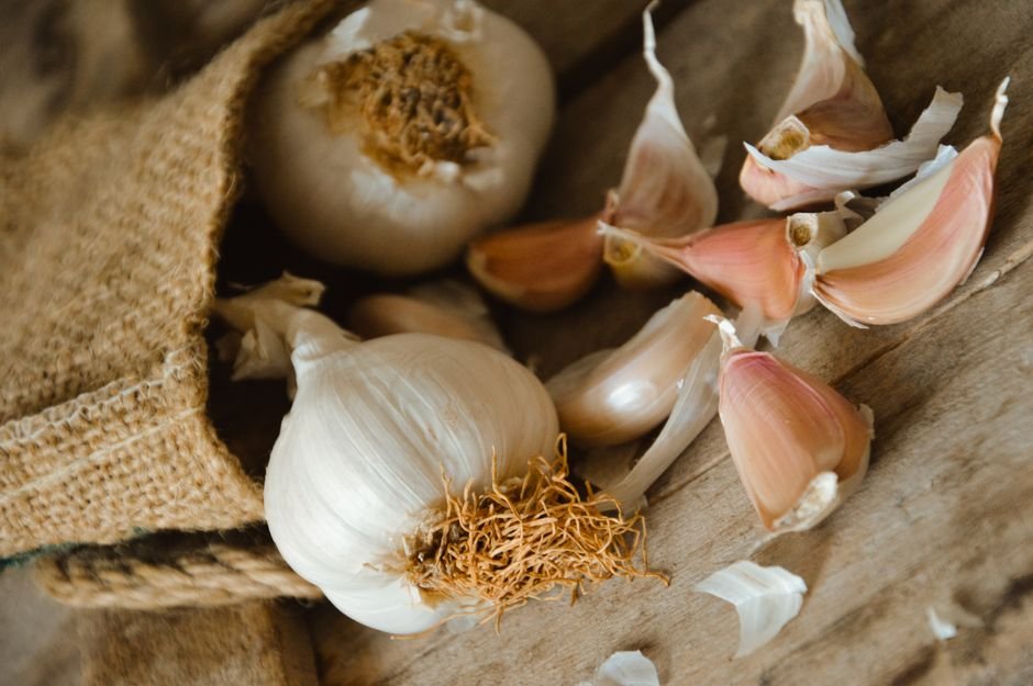 Benefícios de plantar alho em casa