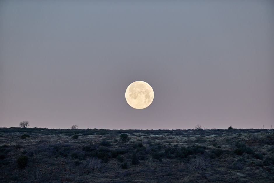 Planilha Resumo: Calendário Lunar para Plantar