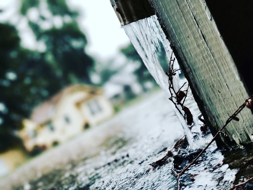 Descarte a primeira chuva