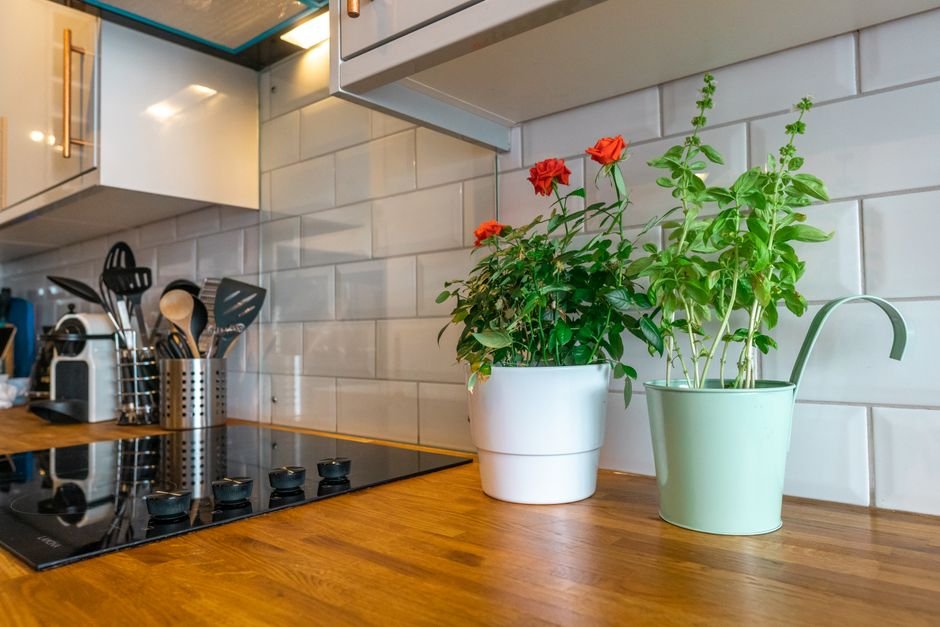 O que é e por que ter uma horta na cozinha
